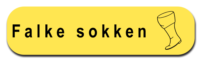 Falke sokken de Kaplaars Aalten